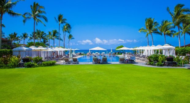 14708103_10154324926763598_2639687355392178060_n