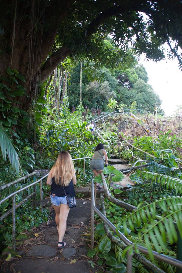 14642037_10154324950858598_7210245186836626871_n